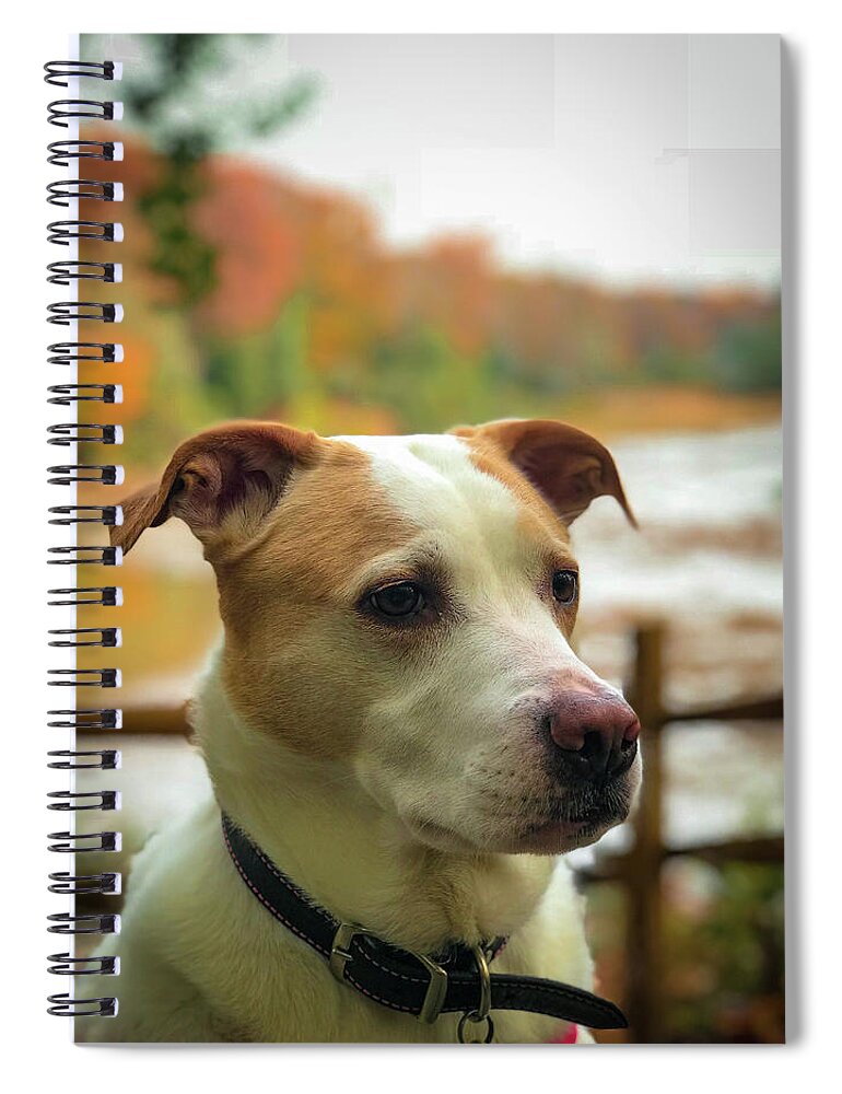Dog Spiral Notebook featuring the photograph I See Something by Lora J Wilson