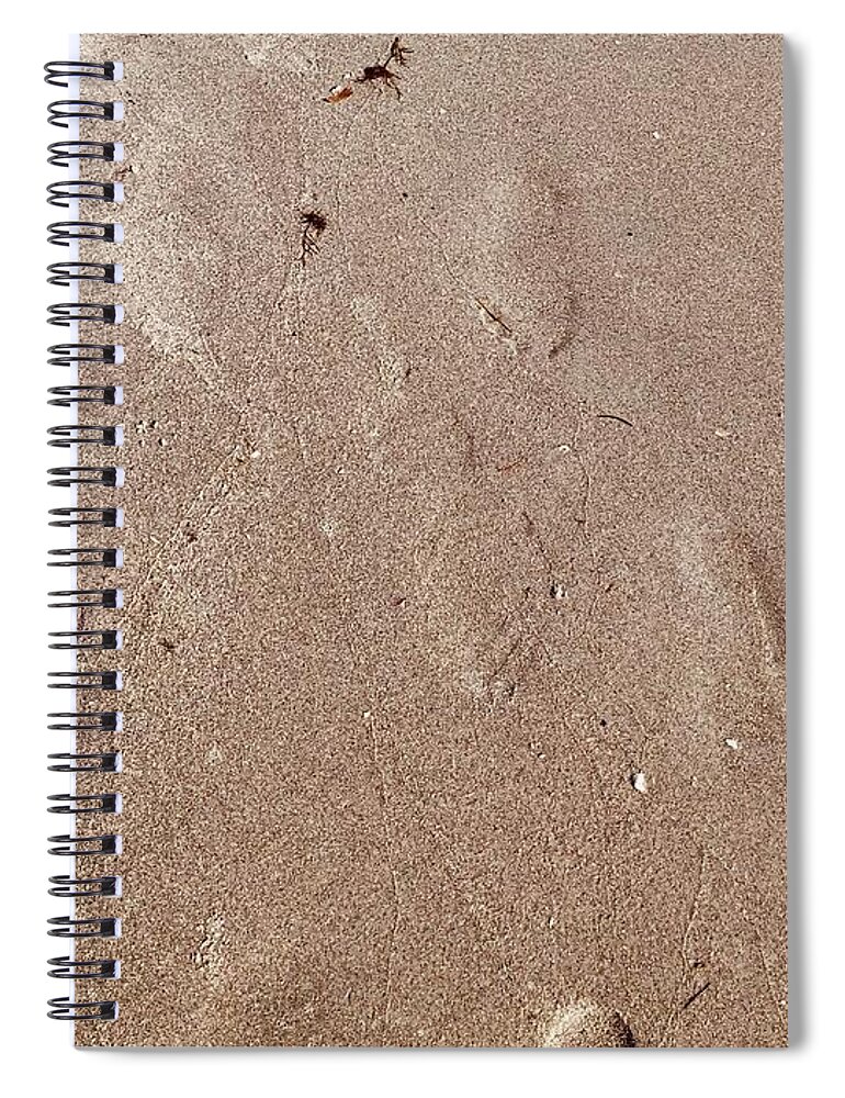 Beach Spiral Notebook featuring the photograph I Was Here Upon This World by Shelly Tschupp
