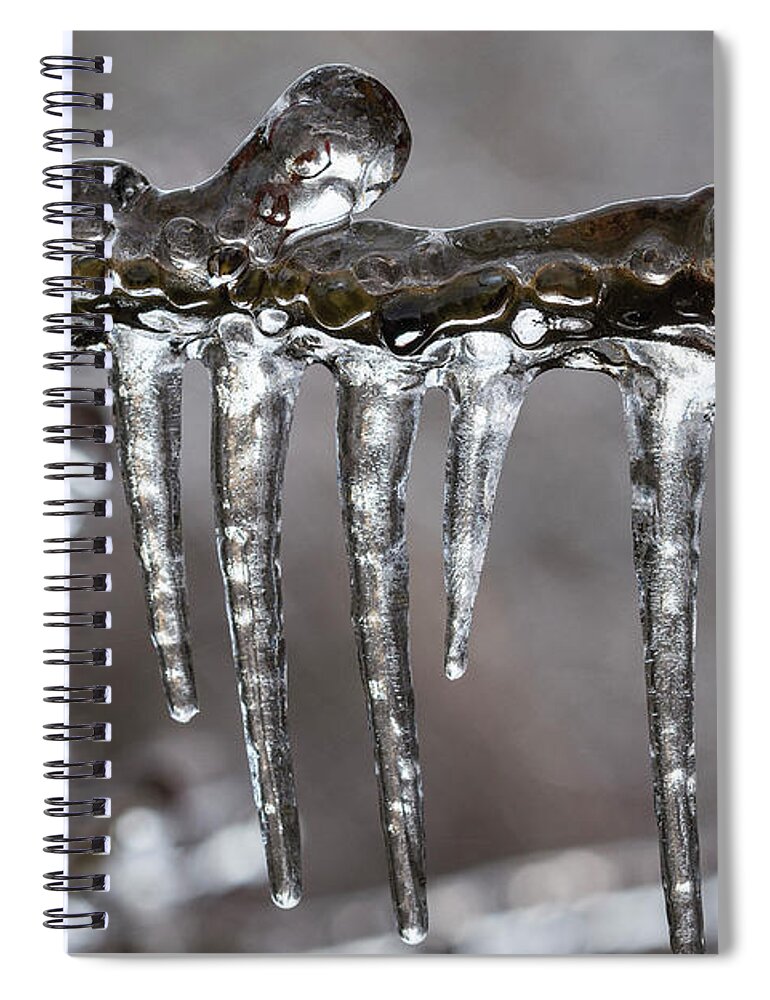 Branches Spiral Notebook featuring the photograph Ice9 by Robert Potts
