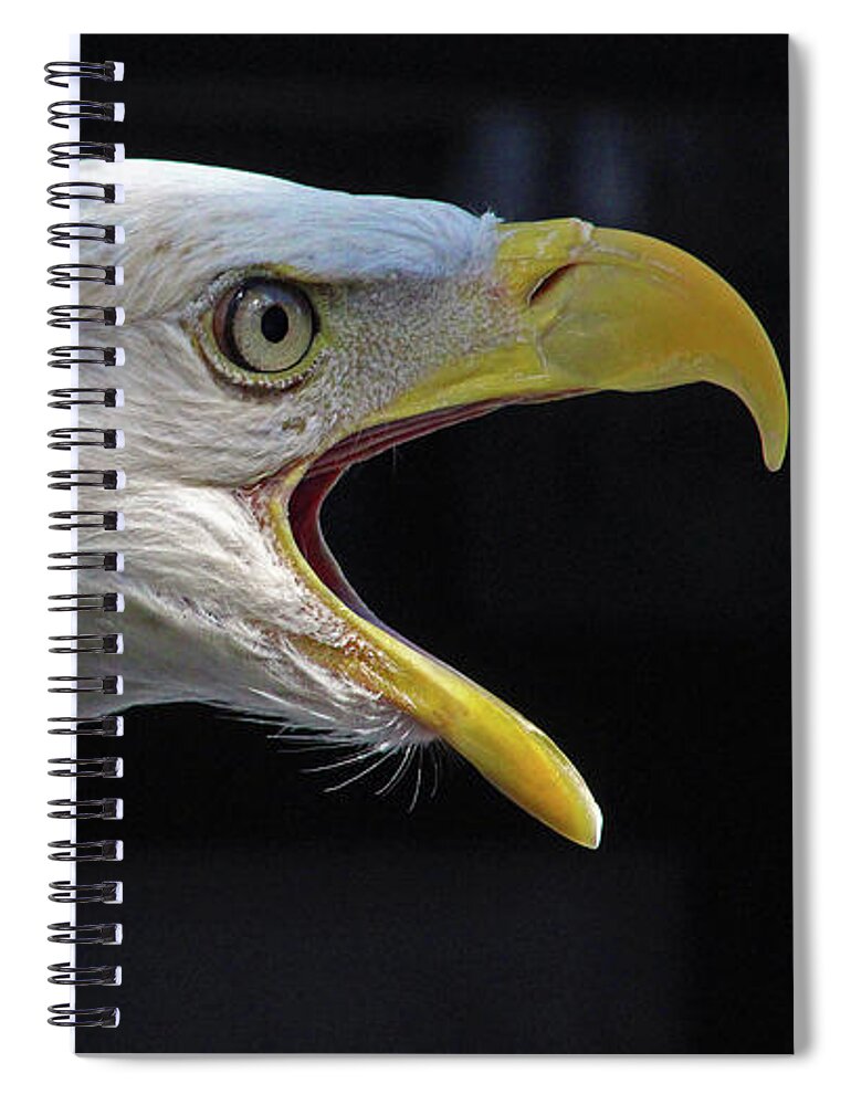 Bald Eagle Spiral Notebook featuring the photograph If You Want to Be Free, Be Free by Michael Allard
