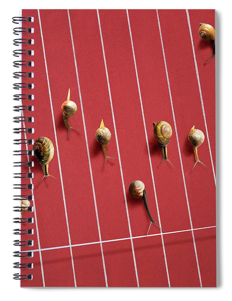 In A Row Spiral Notebook featuring the photograph Image Of Snail by Yuji Sakai