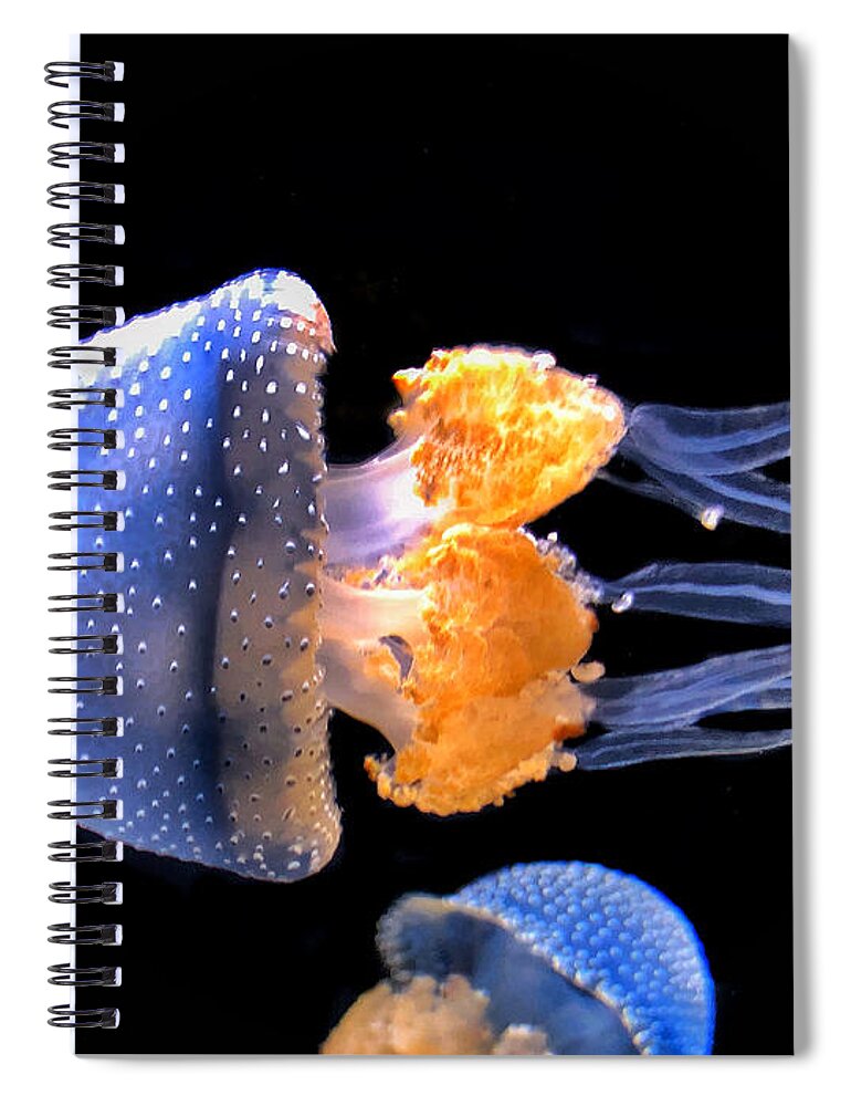  Spiral Notebook featuring the photograph Image Untitled by Tony HUTSON