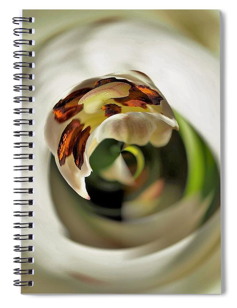 Flowers Spiral Notebook featuring the photograph In Depth Analysis by Bearj B Photo Art