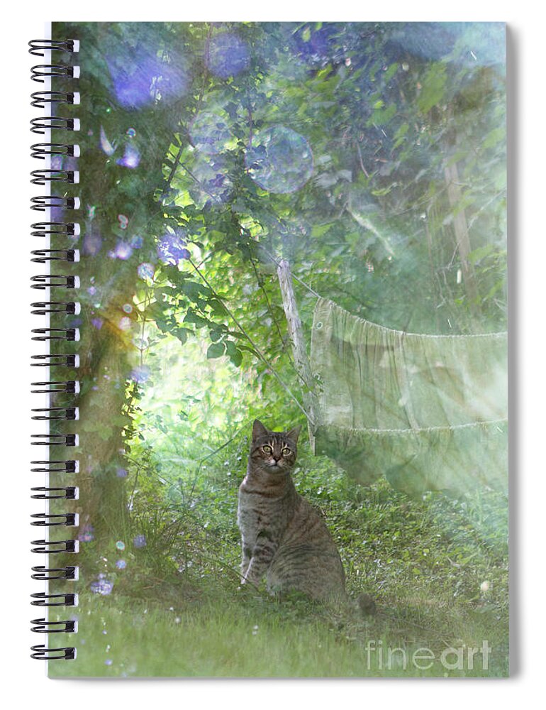 Cat Spiral Notebook featuring the photograph In My Garden by Ang El