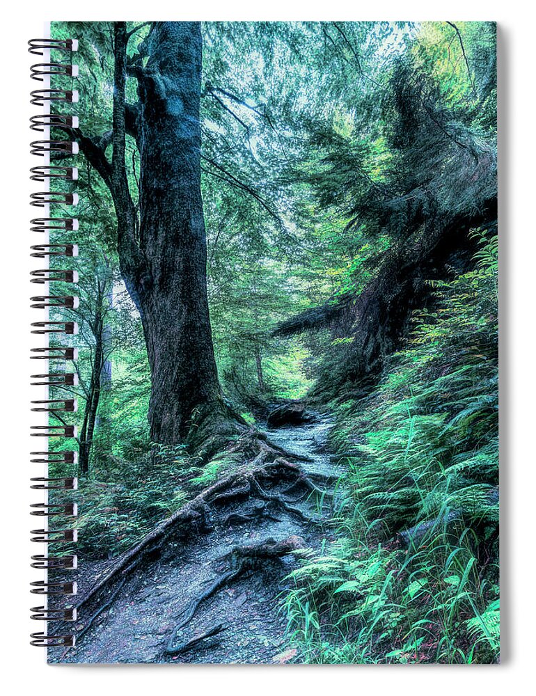 Appalachia Spiral Notebook featuring the photograph In the Cool of the Evening on the Appalachian Trail by Debra and Dave Vanderlaan