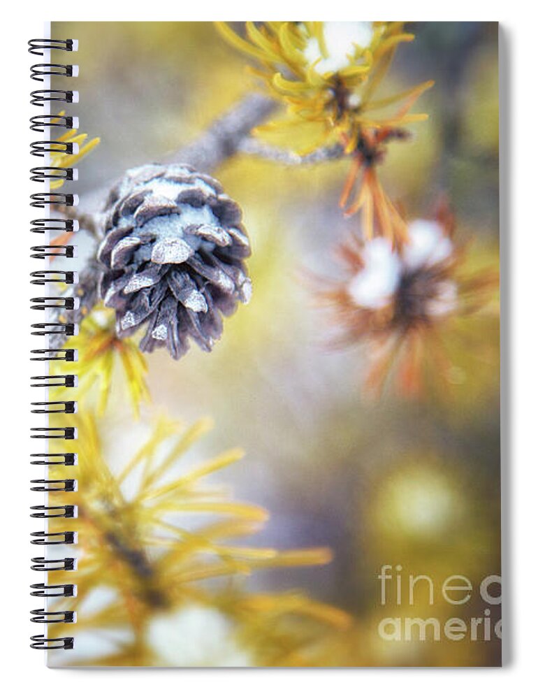 Pine Tree Spiral Notebook featuring the photograph In the Pines by Becqi Sherman