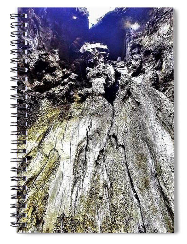 Prints Spiral Notebook featuring the photograph Inside the old man by Barbara Donovan