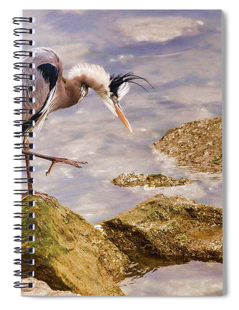 Great Blue Heron Spiral Notebook featuring the photograph One Step at a Time by Ola Allen