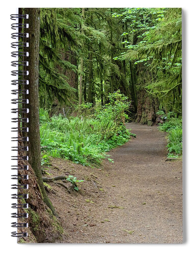 Canada Spiral Notebook featuring the photograph Into the Forest by Peggy Blackwell