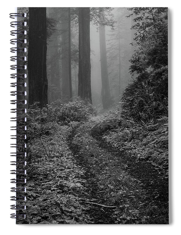 Into The Mist Spiral Notebook featuring the photograph Into the Mist B / W by George Buxbaum