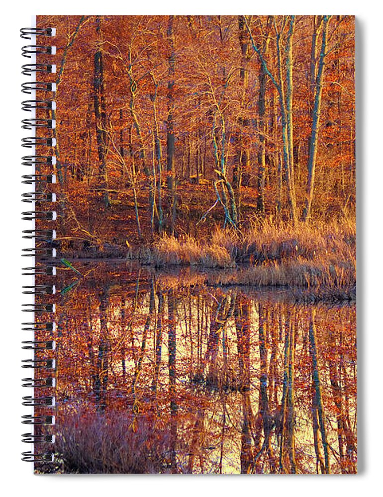 Ipswich River Wildlife Sanctuarynew England Fall Foliage Spiral Notebook featuring the photograph Ipswich River Wildlife Sanctuary by Jeff Folger