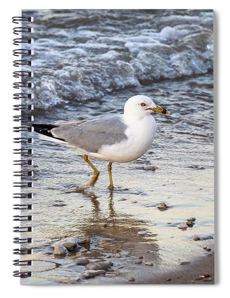 Bird Spiral Notebook featuring the photograph Isolated by Mary Anne Delgado