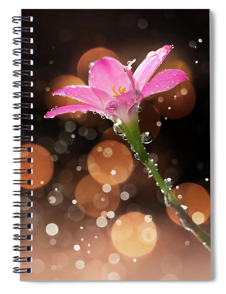 Tanzania Spiral Notebook featuring the photograph Isolated Pink Flowers With Fizzy Bubbles by Twomeows