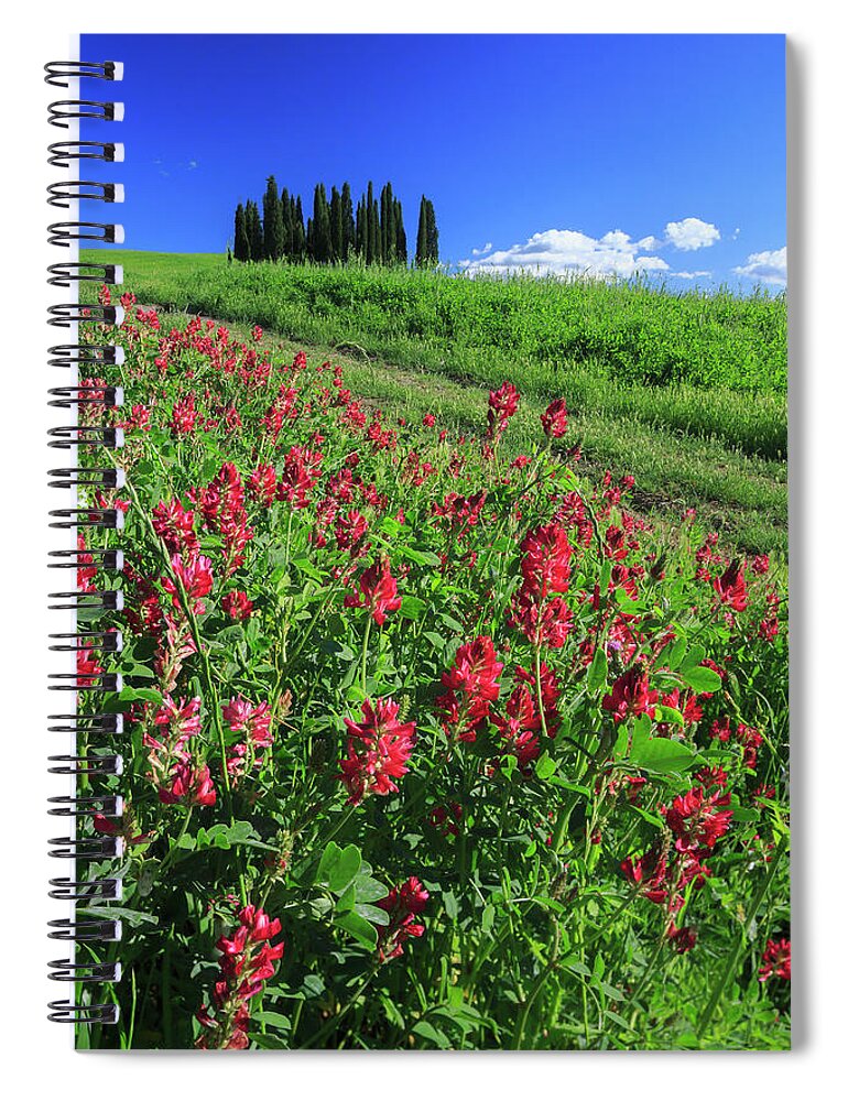 Estock Spiral Notebook featuring the digital art Italy, Tuscany, Flowers In Bloom by Maurizio Rellini