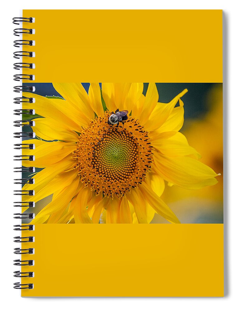 Sunflower Spiral Notebook featuring the photograph It's a Good Day by Linda Bonaccorsi