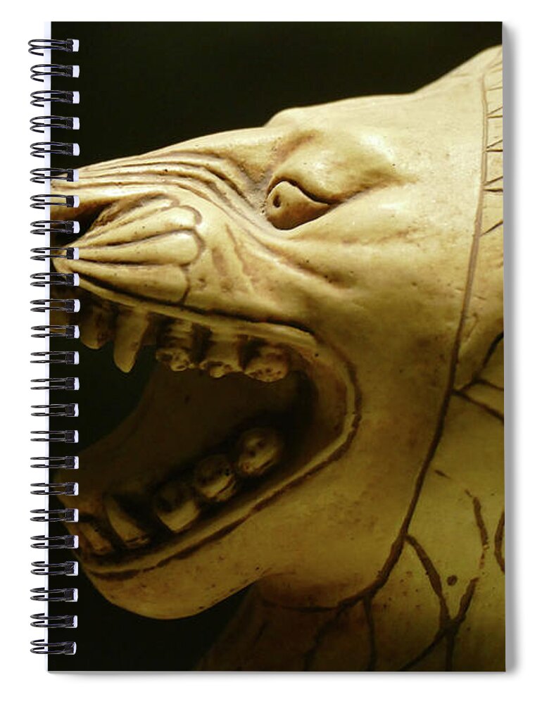 8th Spiral Notebook featuring the photograph Ivory statue of seated lion from Alintepe by Steve Estvanik
