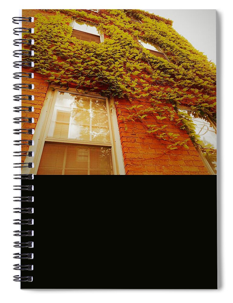 Ivy Spiral Notebook featuring the photograph - Ivy - Portsmouth NH by THERESA Nye