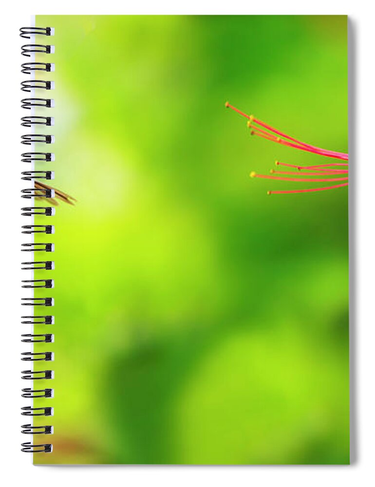 One Animal Spiral Notebook featuring the photograph Jamaica, Hummingbird In Flight by Tetra Images