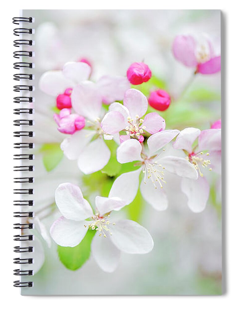 Buckinghamshire Spiral Notebook featuring the photograph Japanese Crab Apple Blossom by Jacky Parker Photography