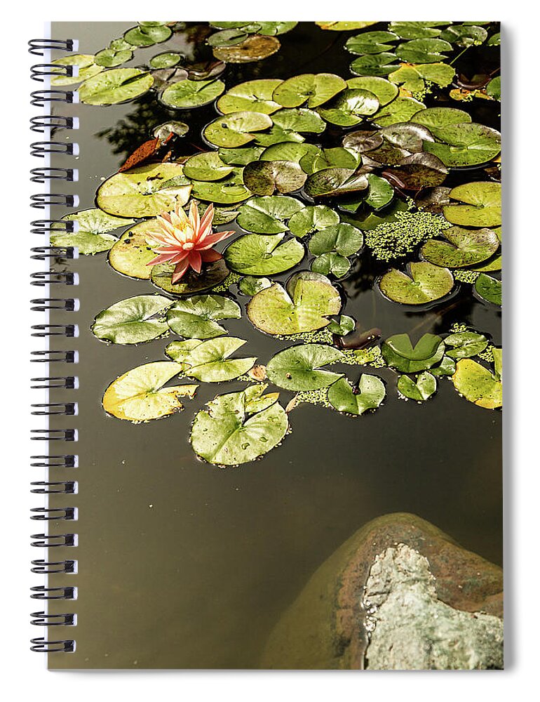 Landscapes Spiral Notebook featuring the photograph Japanese Garden-3 by Claude Dalley