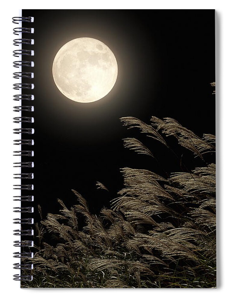 Pampas Spiral Notebook featuring the photograph Japanese Pampas Grass Under Moon by Gyro Photography/amanaimagesrf