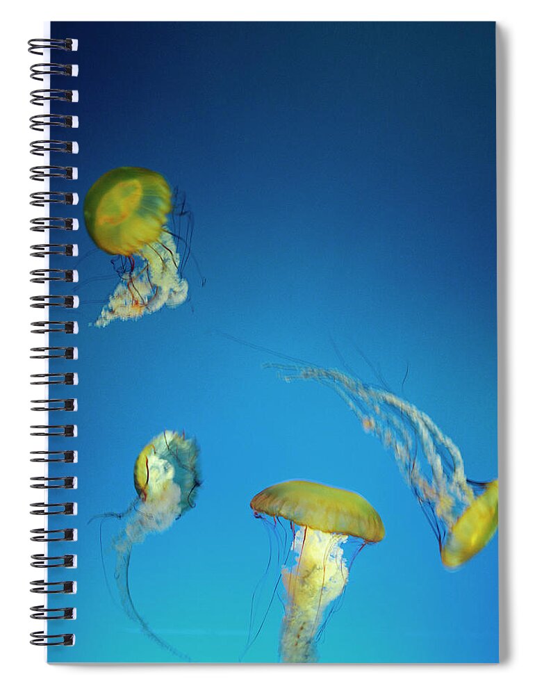 Underwater Spiral Notebook featuring the photograph Jellyfish At Aquarium by Lisa Romerein