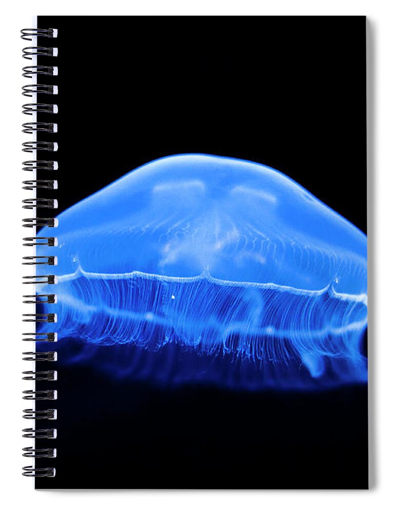 Underwater Spiral Notebook featuring the photograph Jellyfish by David Cornejo