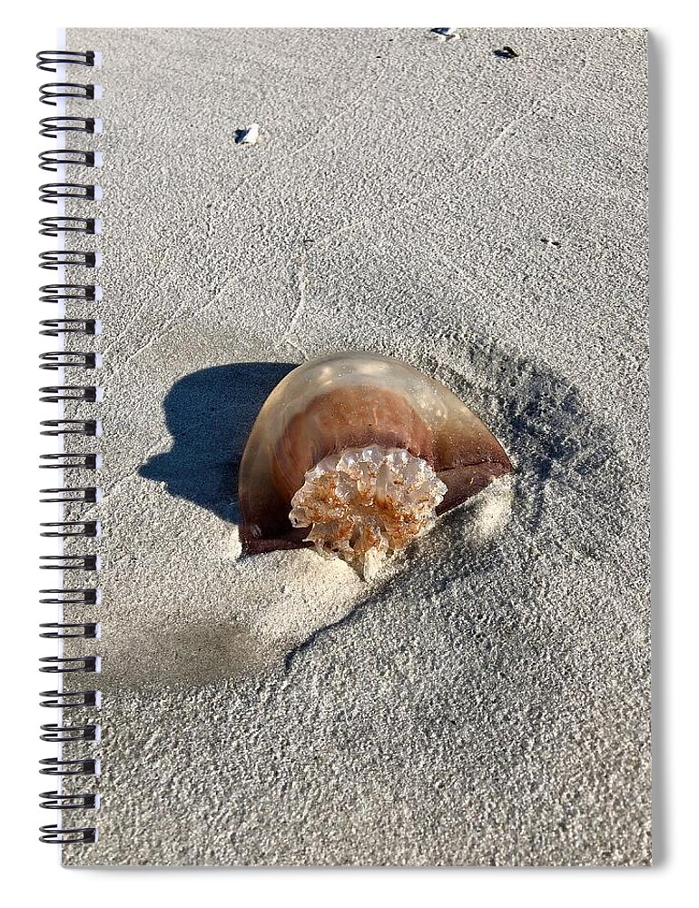 Jellyfish Spiral Notebook featuring the photograph Jellyfish Washed Up on the Beach by Dennis Schmidt