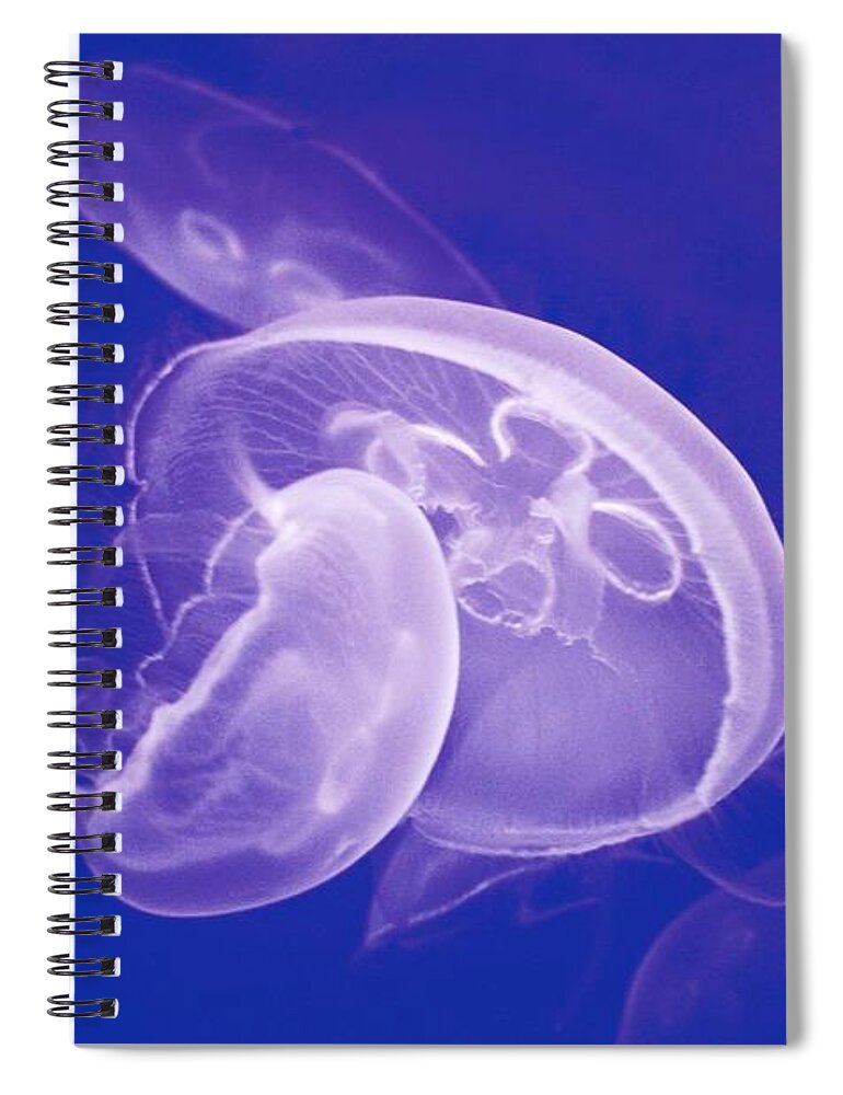 Underwater Spiral Notebook featuring the photograph Jellyfishes In Blue by Gret@lorenz