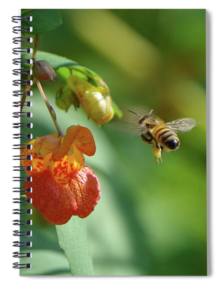 Jewelweed Spiral Notebook featuring the photograph Jewelweed and the Honeybee by Tannis Baldwin