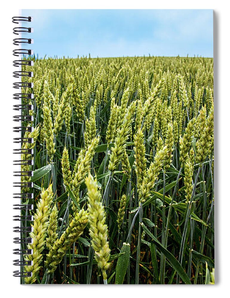 Majestic Spiral Notebook featuring the photograph July Crops In The Fields Of Northern by Murray Duke Photography