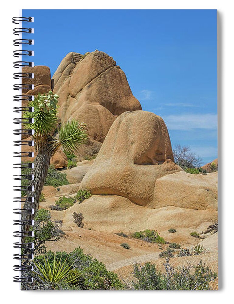 Joshua Tree National Park Spiral Notebook featuring the photograph Jumbo Rocks Landscape by Marisa Geraghty Photography