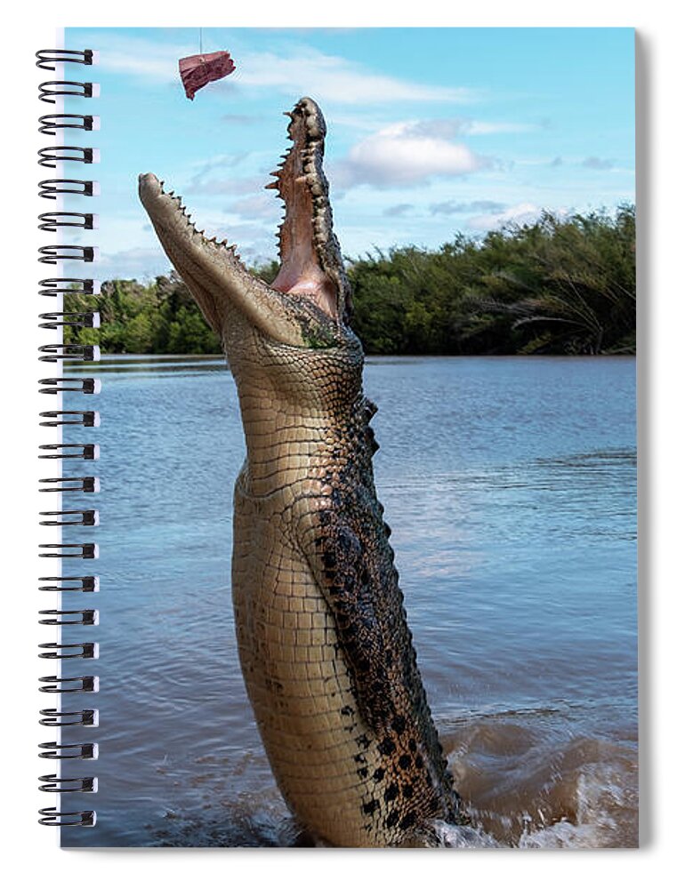 Crocodile Spiral Notebook featuring the photograph Jumping Crocodile by Catherine Reading