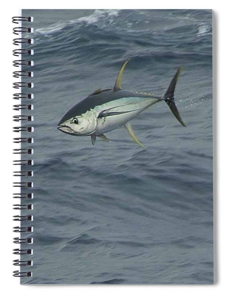 Yellowfin Spiral Notebook featuring the photograph Jumping Yellowfin Tuna by Bradford Martin