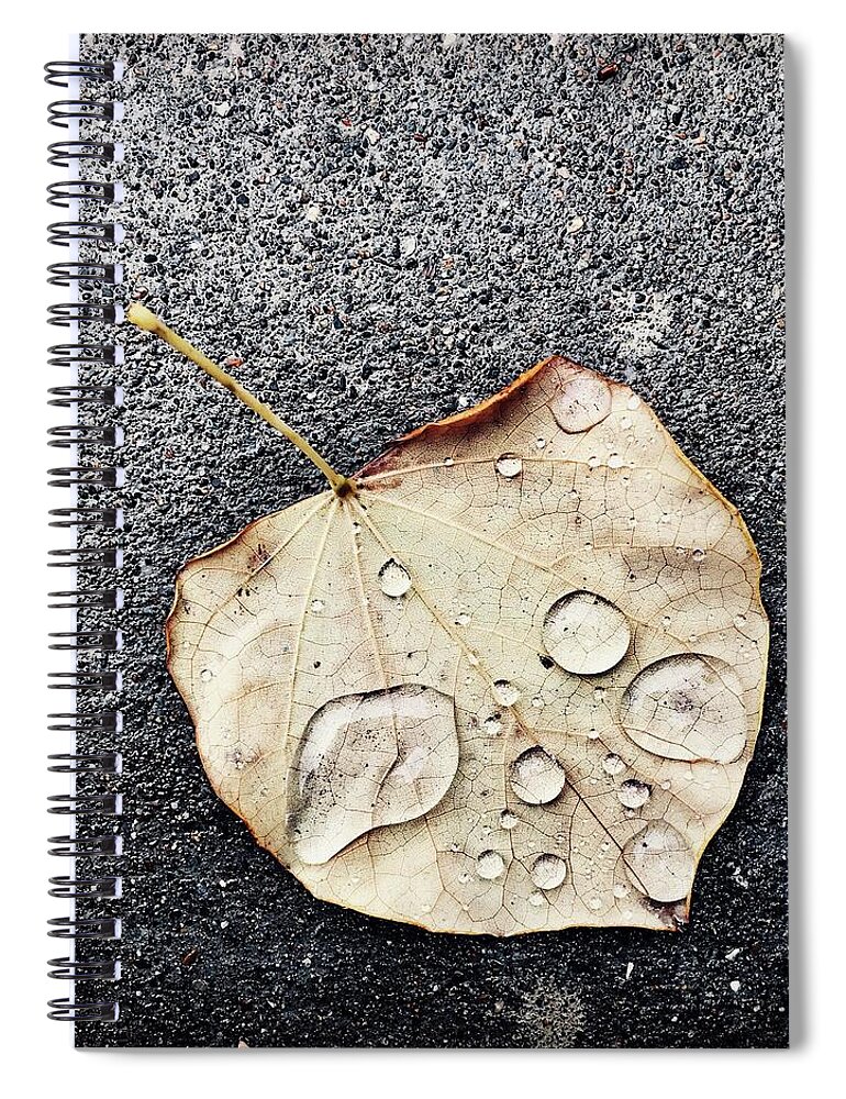 Autumn Spiral Notebook featuring the photograph Just a glimpse of Autumn by Alexander Fedin