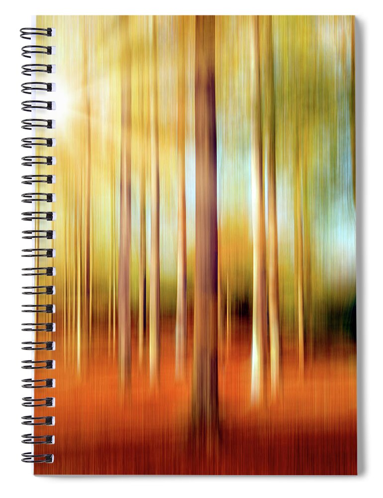 Forest Spiral Notebook featuring the photograph Just a Ripple by Philippe Sainte-Laudy