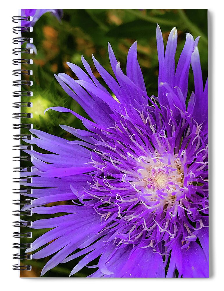 Flowers Spiral Notebook featuring the photograph Just a Stroll by Joseph Yarbrough