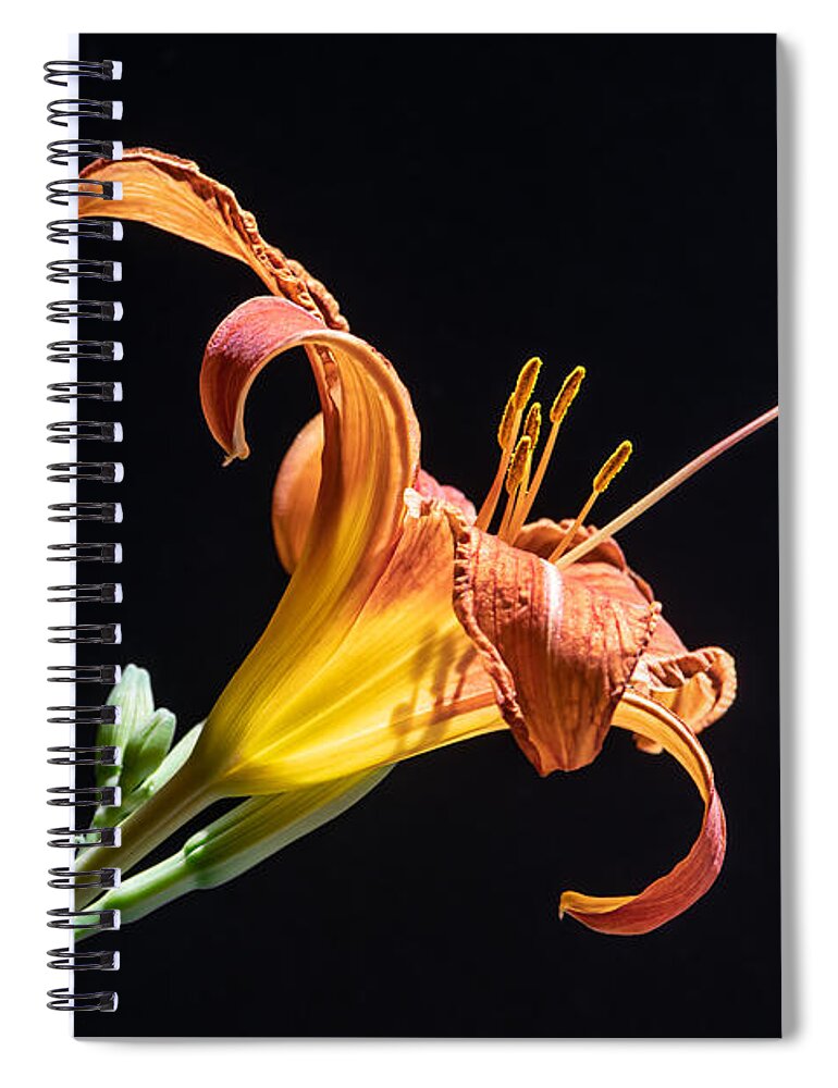 Floral Spiral Notebook featuring the photograph Just Another Day by Maggie Terlecki