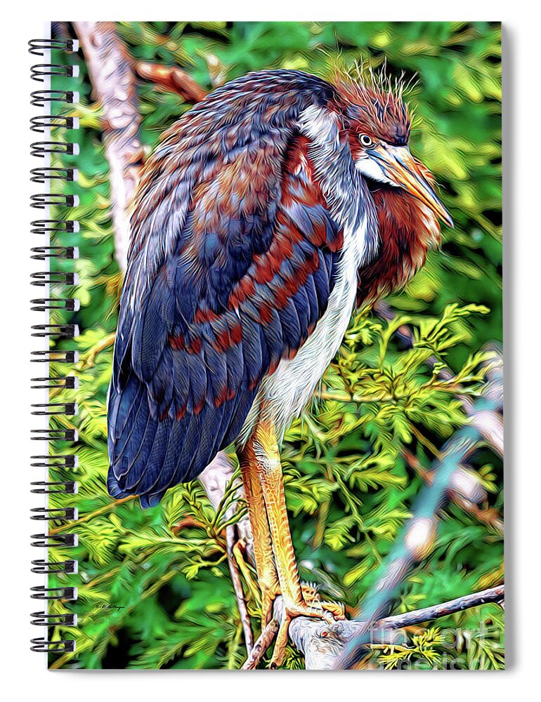 Herons Spiral Notebook featuring the mixed media Juvenile Tricolored Heron Art by DB Hayes