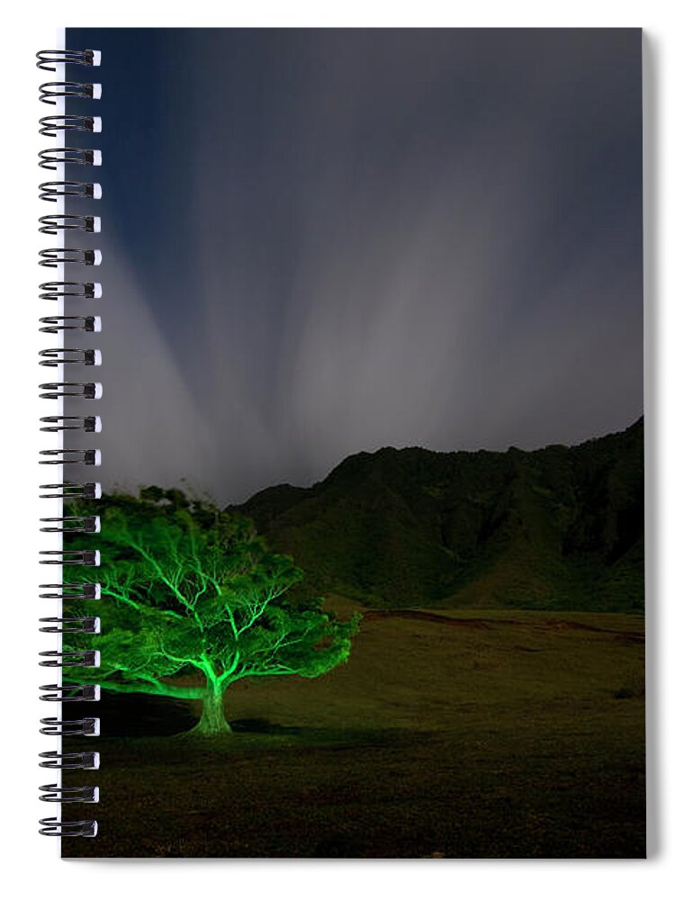 Kaaawa Valley Spiral Notebook featuring the photograph Tree of Life by David L Moore