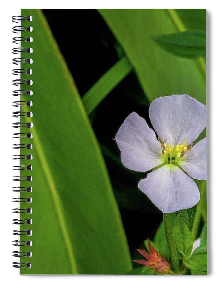 Kauai Spiral Notebook featuring the photograph Kauai Wildflower by Doug Davidson