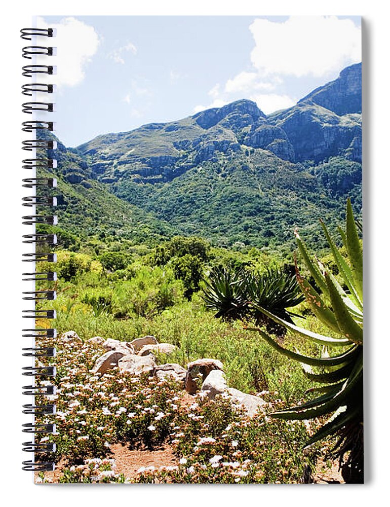 Scenics Spiral Notebook featuring the photograph Kirstenbosch Botanical Garden by Rapideye