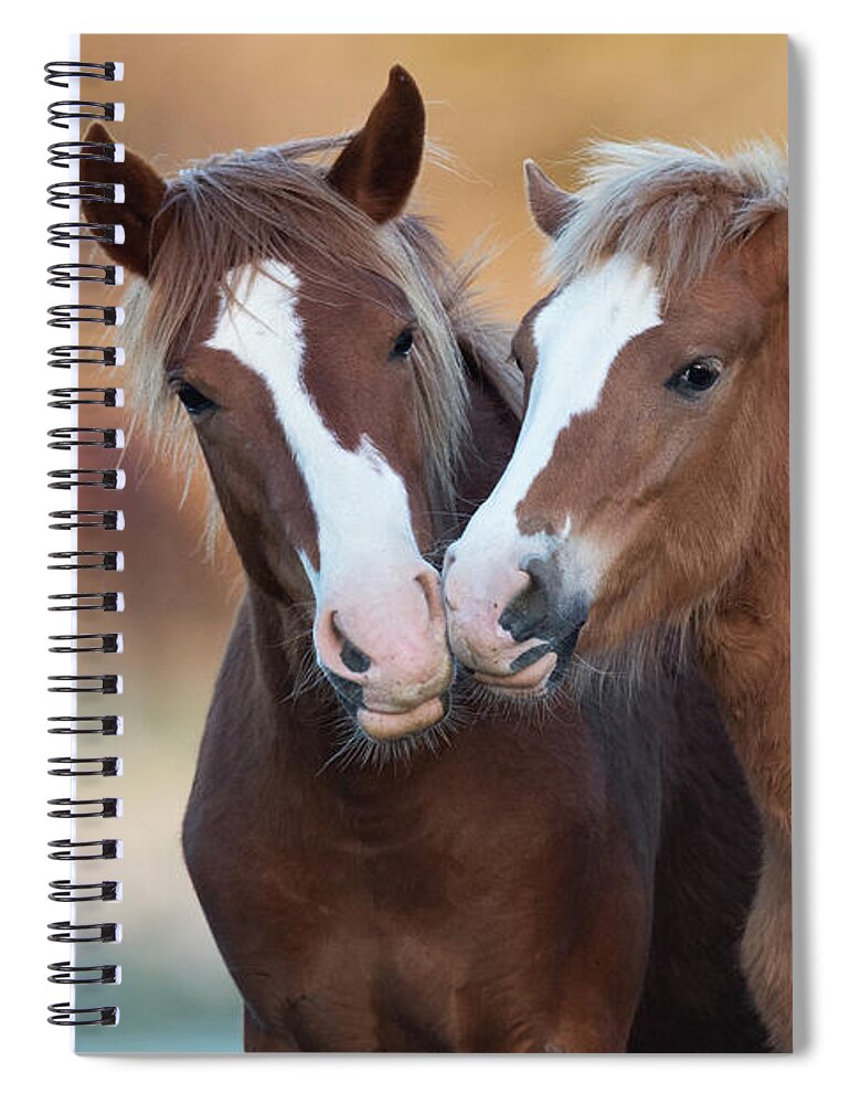 Cute Spiral Notebook featuring the photograph The Kiss by Shannon Hastings
