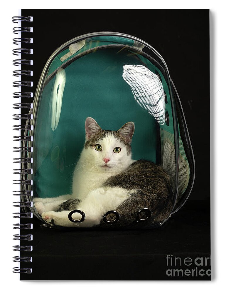 Cat Spiral Notebook featuring the photograph Kitty in a Bubble by Susan Warren
