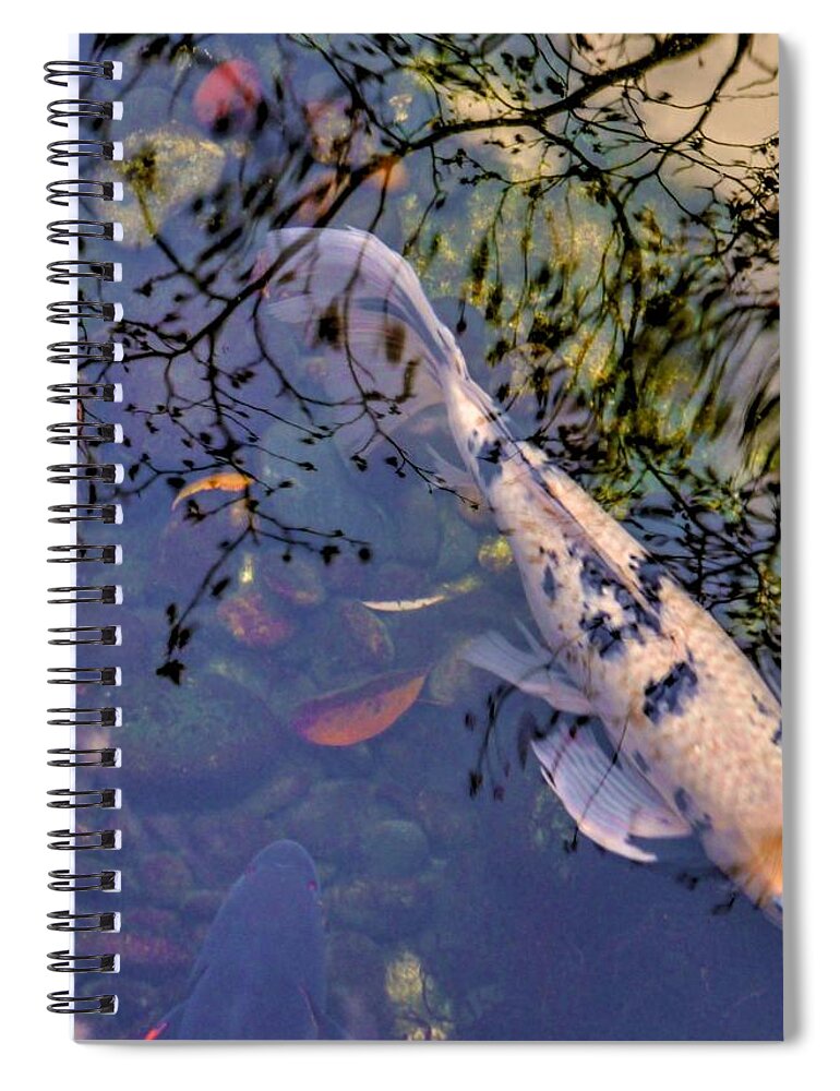 Koi Spiral Notebook featuring the photograph Koi and Reflections by Peter Mooyman
