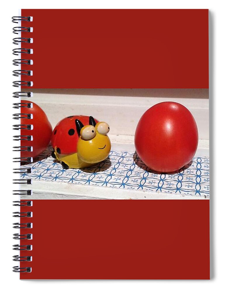 Ladybug Spiral Notebook featuring the photograph Lady Bug and Friends by Art MacKay