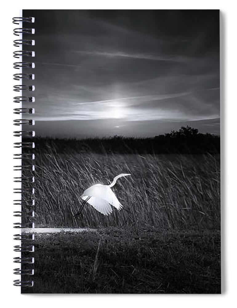 Bird Spiral Notebook featuring the photograph Landing Strip by Mark Andrew Thomas