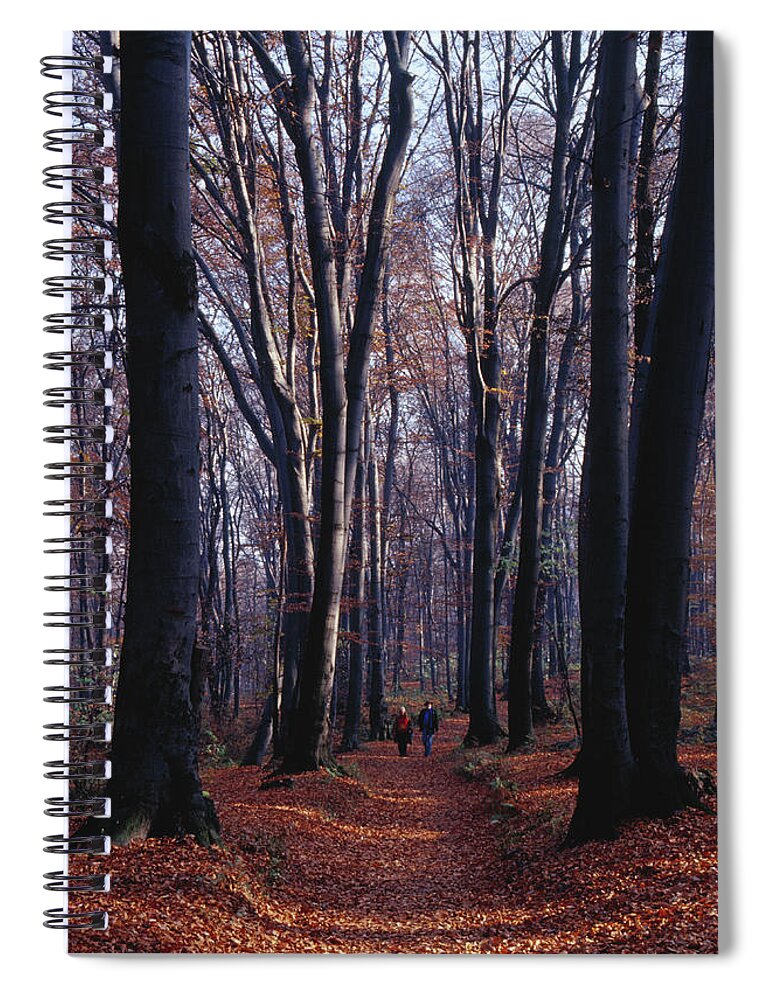 Europe Spiral Notebook featuring the photograph Las Wolski Forested Area by Lonely Planet