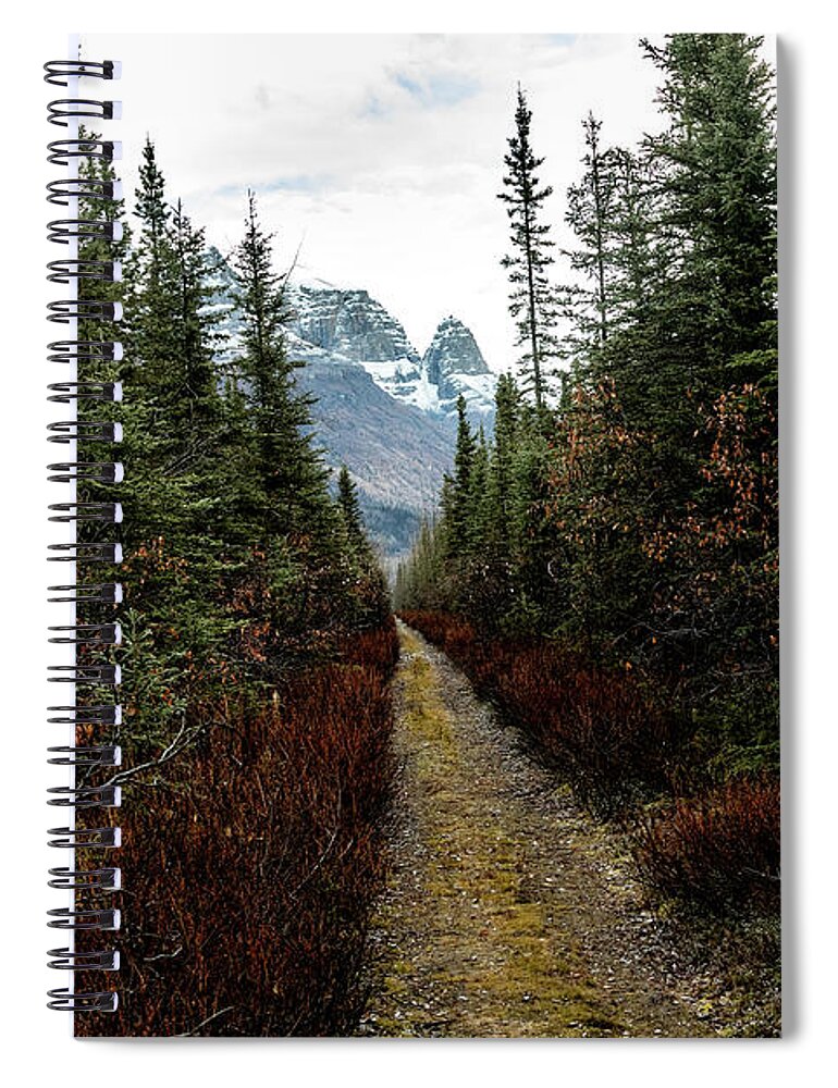 Alaska Spiral Notebook featuring the photograph Late Fall by Fred Denner