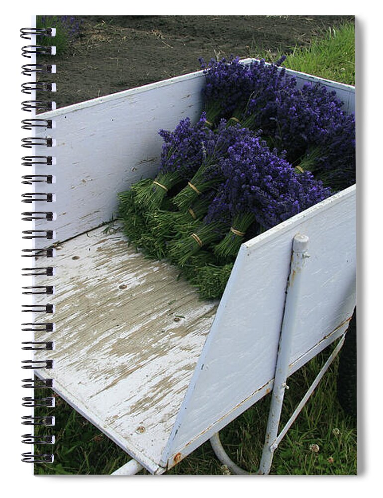 Garden Spiral Notebook featuring the photograph Lavender Farm Harvest by Leslie Struxness